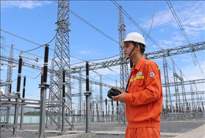 Truyền tải điện Ninh Thuận vận hành an toàn lưới điện truyền tải trong mùa mưa bão